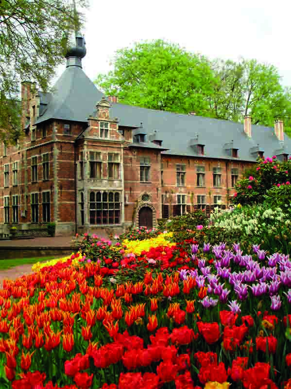 FloraliaBrussels-972_2013_04_site