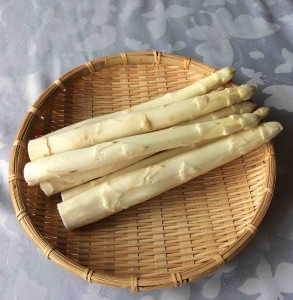 site_asperge_blanc